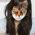 Domenic Hilpert Profile Picture