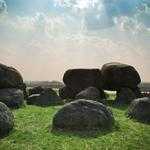 Laury Greenfelder Profile Picture