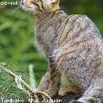 Enrico Rau Profile Picture