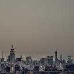 America Swaniawski Profile Picture