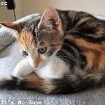 Francisco Koepp Profile Picture