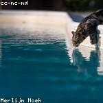 Georgette Murphy Profile Picture