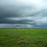 Adalberto Kilback Profile Picture