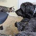 Nicklaus Gerhold Profile Picture