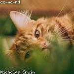 Beulah Ward Profile Picture