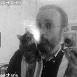 Alanis Schaefer Profile Picture