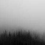 Florence Yost Profile Picture