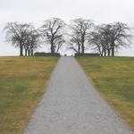 Nova Lemke Profile Picture