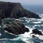 Vernon Pagac Profile Picture