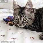 Gerry Runte Profile Picture