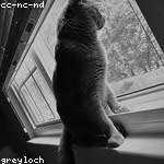 Floyd Wehner Profile Picture