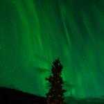 Yesenia Tillman Profile Picture