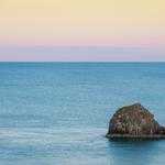 Cameron Mills Profile Picture