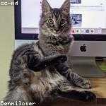 Ernestine Altenwerth Profile Picture