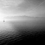 Wyatt Cremin Profile Picture