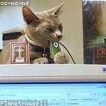 Mateo Becker Profile Picture