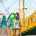 Brandy Funk Profile Picture