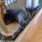 Mavis Smith Profile Picture