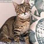 Allene Schowalter Profile Picture