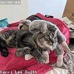 Missouri Tromp Profile Picture