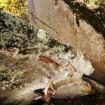 Rogelio Satterfield Profile Picture