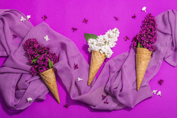 Everything To Know About Purple Gelato Cannabis