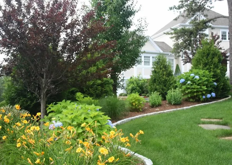 The Importance of Seasonal Lawn Maintenance in Cape Cod | by Jalen draxon | Apr, 2025 | Medium