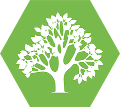 Belfast Tree Surgeons | Tree Surgery & Removal Service - McAuley