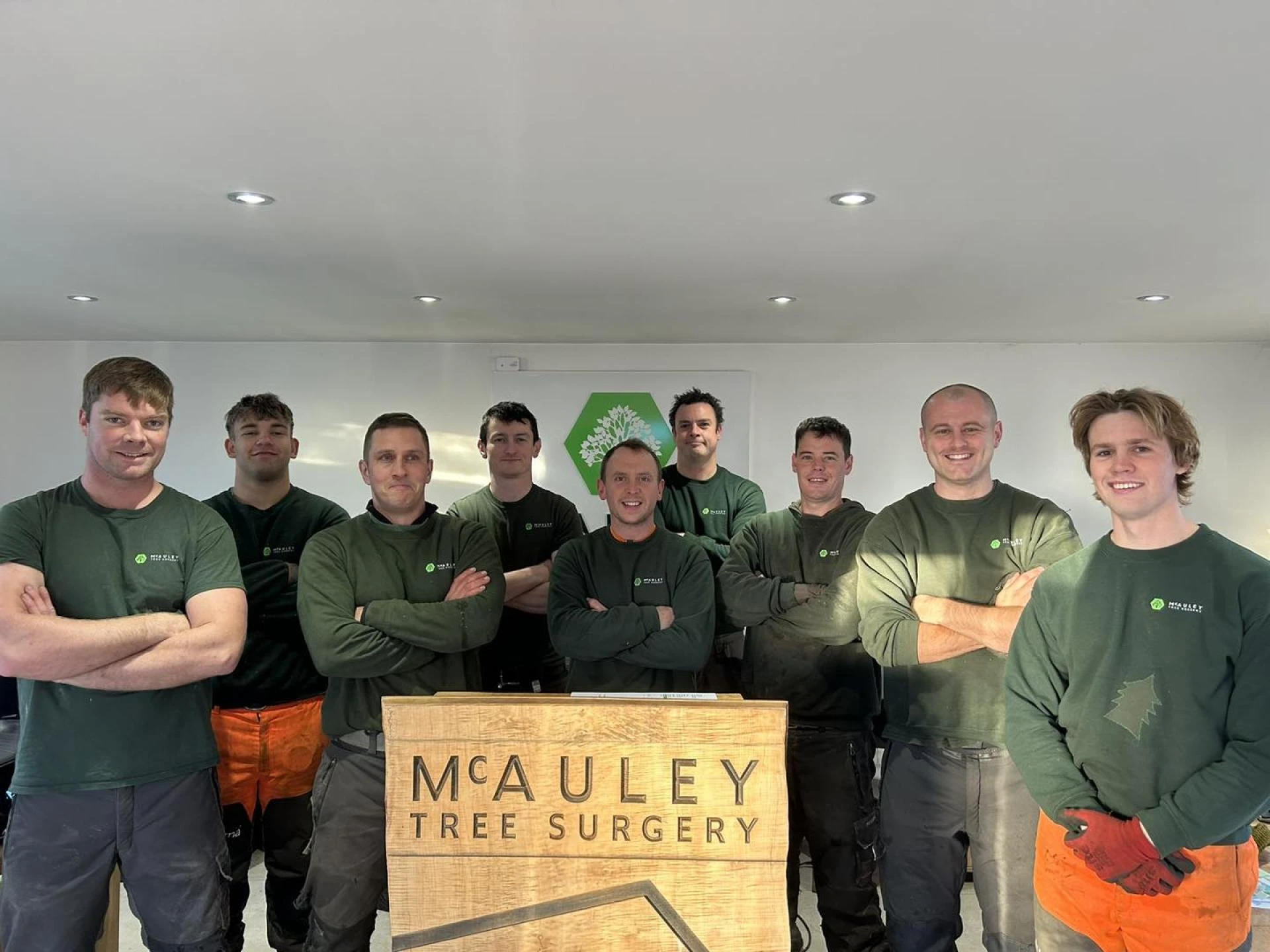 Affordable Tree Services with Top Tree Surgeon Rates Belfast -  WriteUpCafe