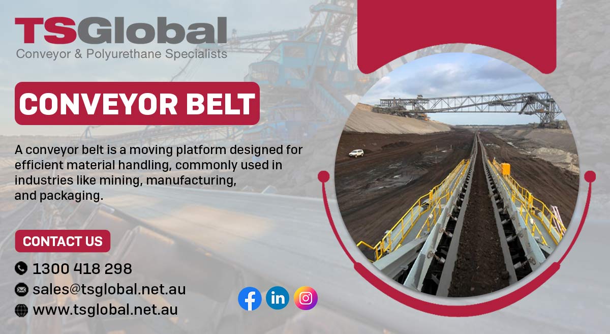 Where to Find the Best Conveyor Belt Cleaner for Sale in Sydney? – Conveyor Belt: TS Global