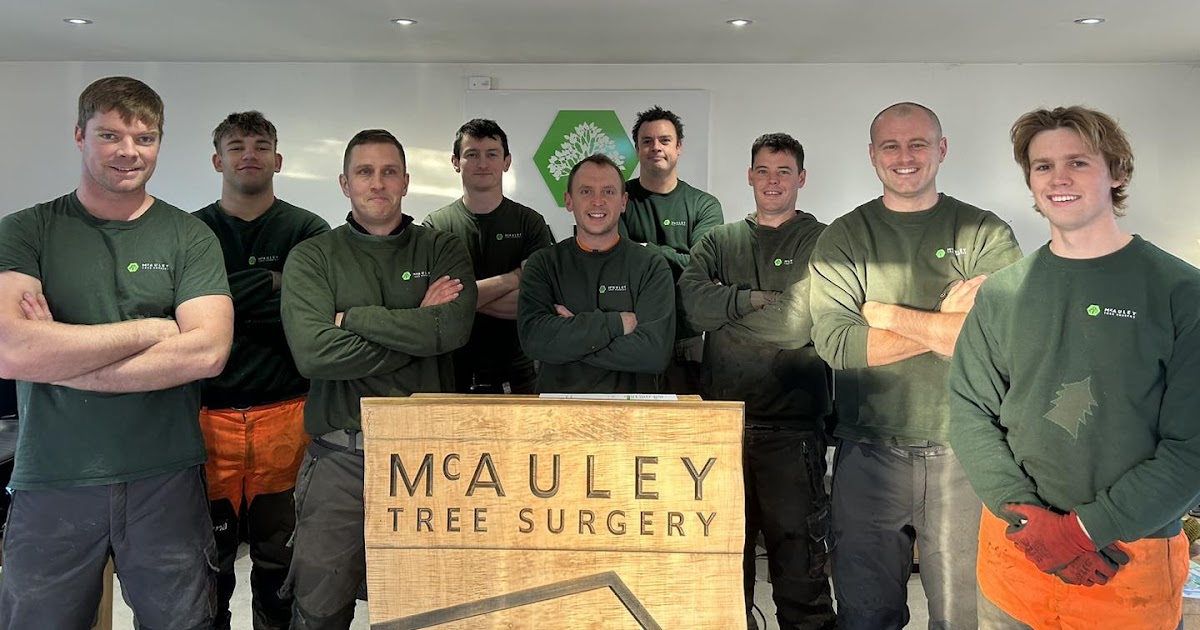 Finding the Best Tree Services in NI Made Easy!