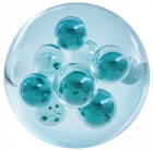 How Can PEMF Systems Improve Health & Sleep Naturally?