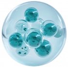 Is a Doctor Recommended PEMF System Right for You? – DrPawluk